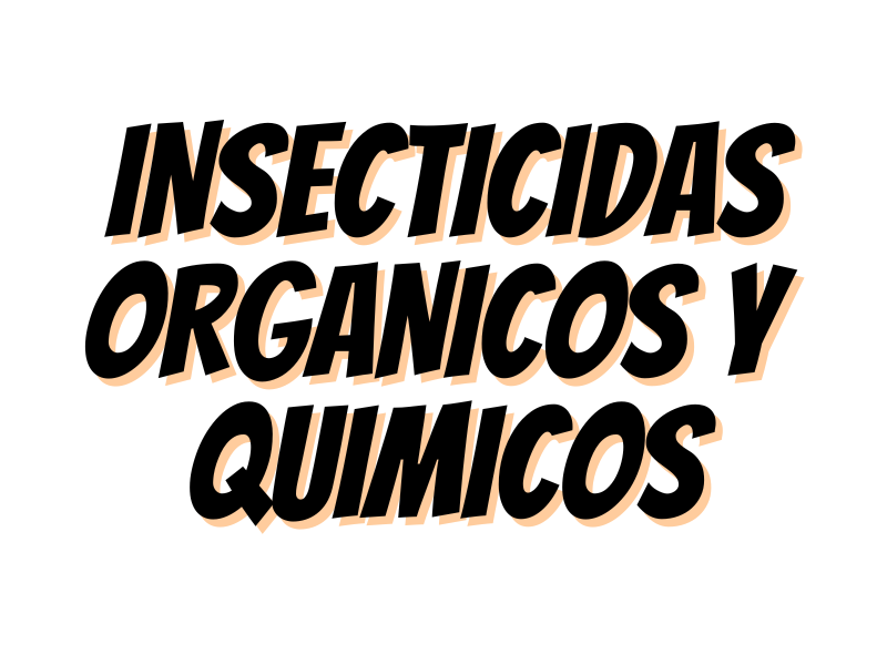 INSECTICIDAS