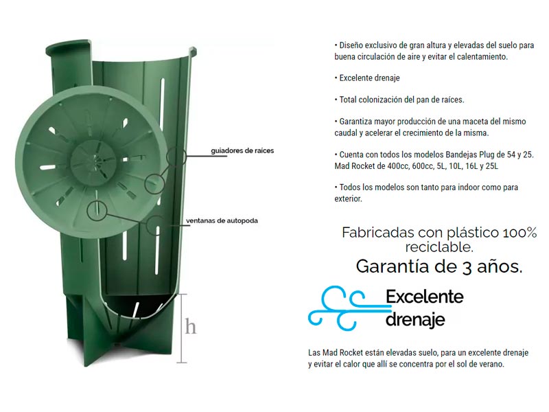 Foto 01
