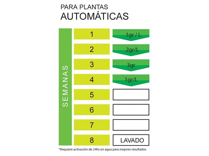 Foto 02