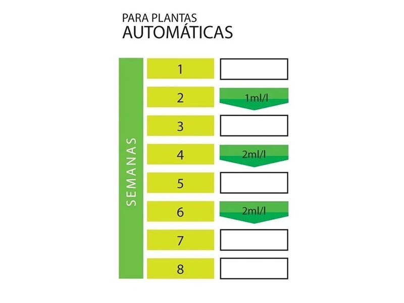 Foto 02