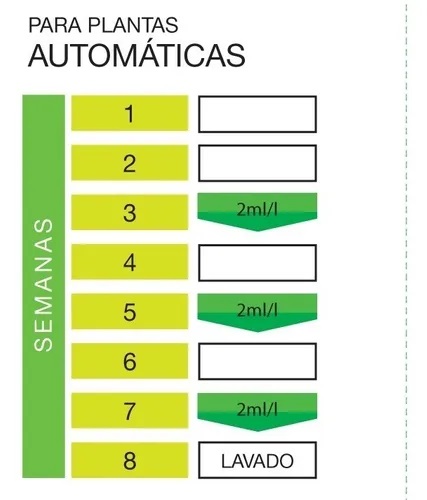 Foto 02