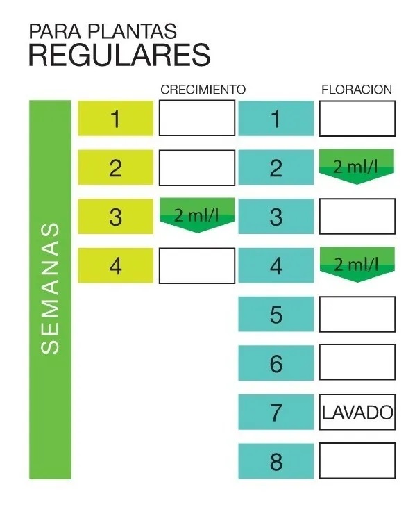 Foto 01