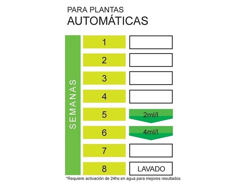 Foto 02