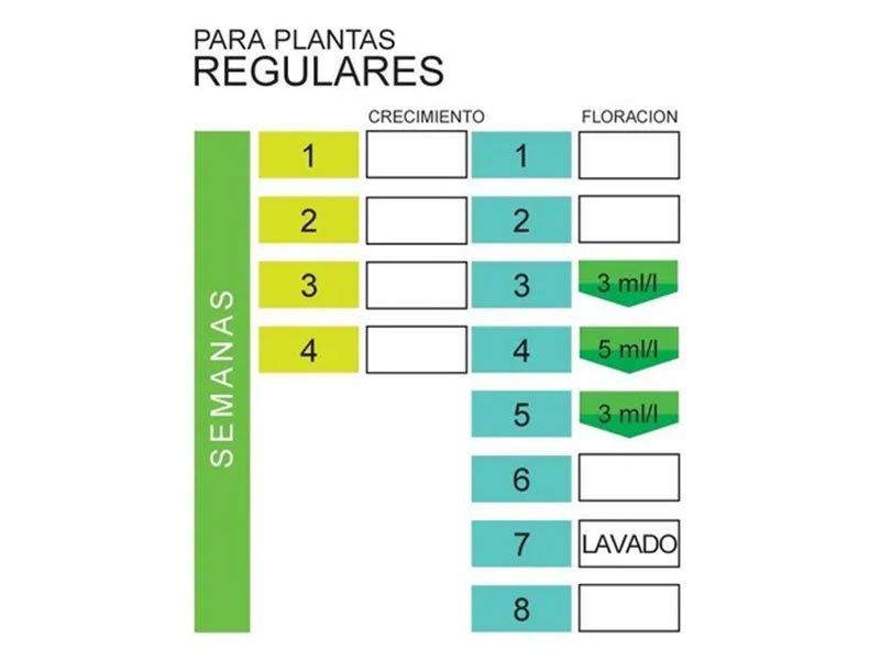Foto 01