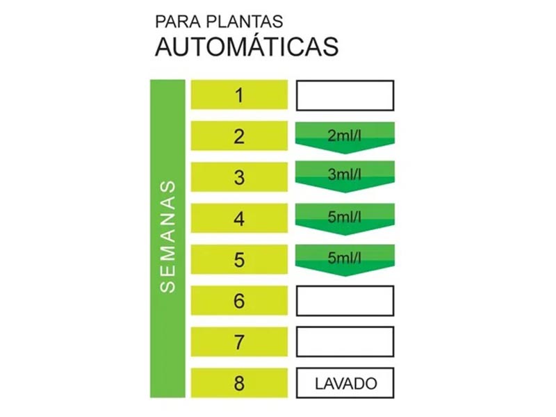 Foto 02