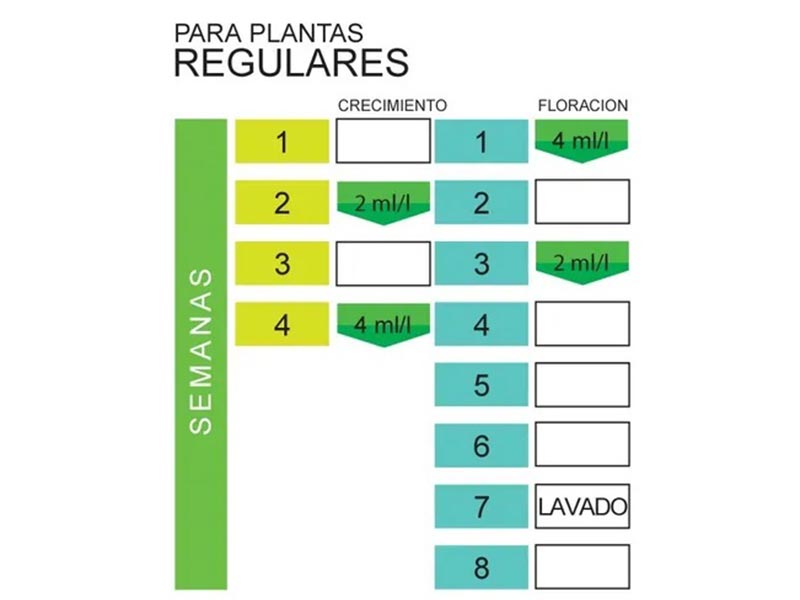 Foto 01