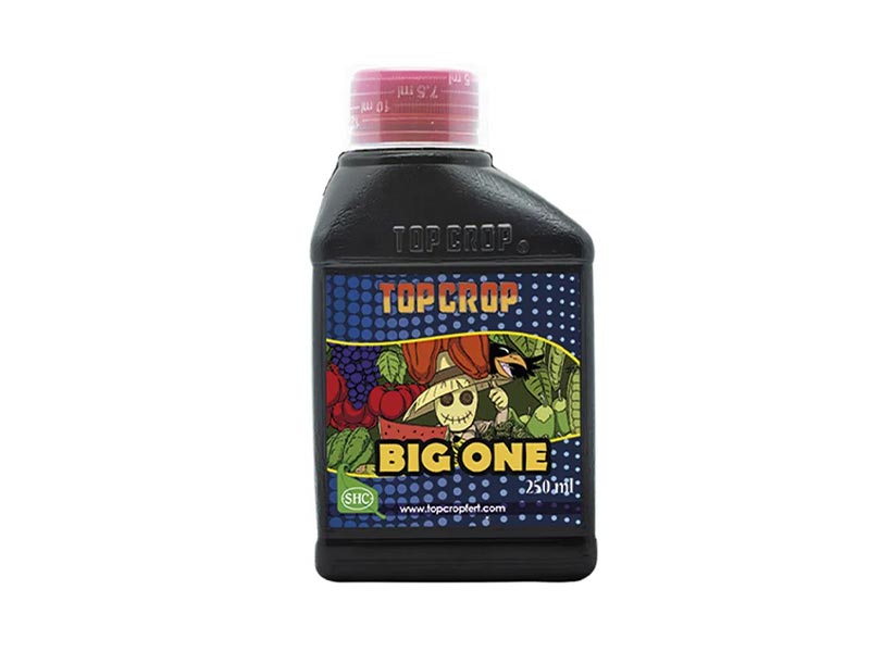 Big One (Bioestimulante Floracion) 250 ml.