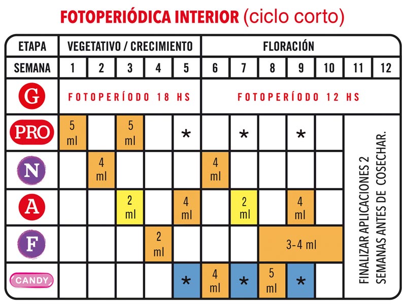 Foto 01