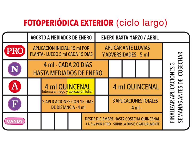 Foto 02