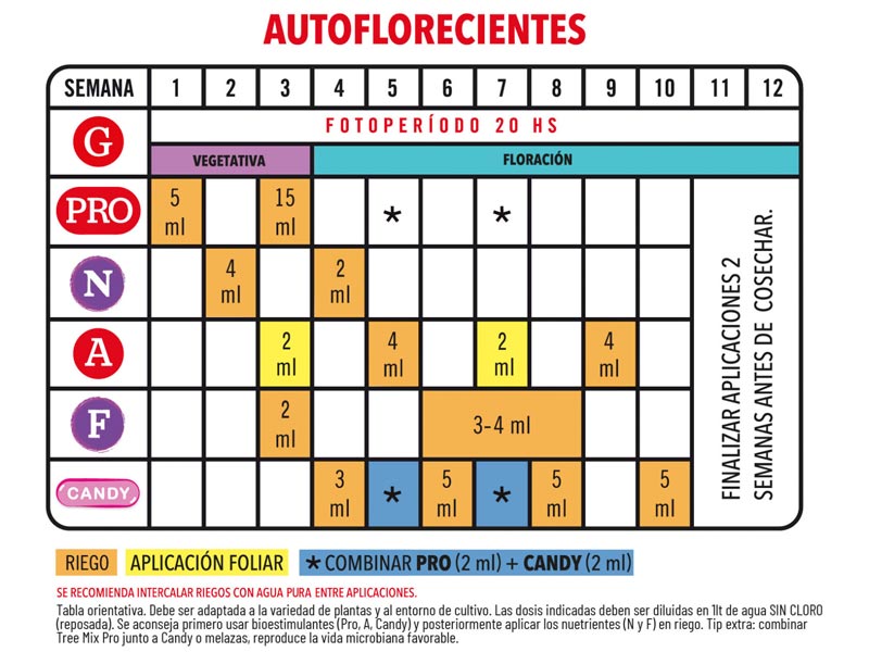 Foto 03